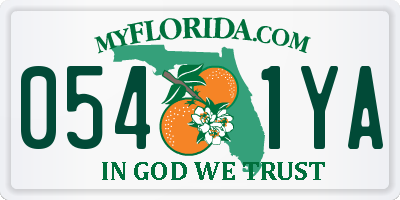 FL license plate 0541YA