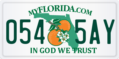 FL license plate 0545AY