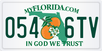 FL license plate 0546TV