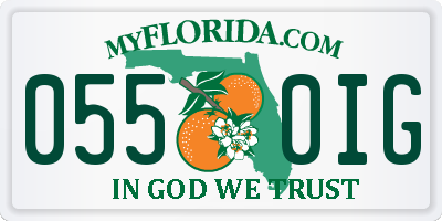FL license plate 0550IG