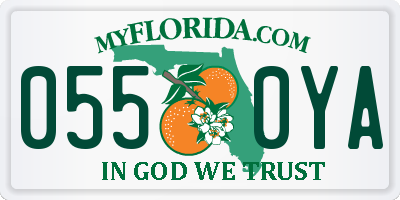 FL license plate 0550YA