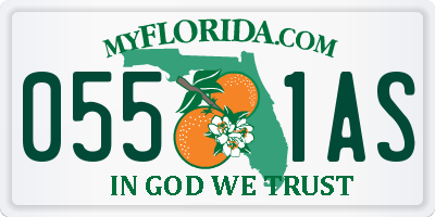 FL license plate 0551AS