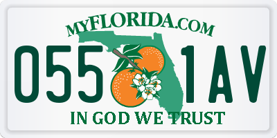 FL license plate 0551AV