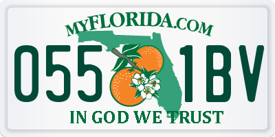 FL license plate 0551BV
