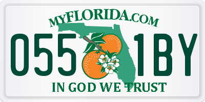 FL license plate 0551BY