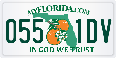 FL license plate 0551DV