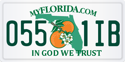 FL license plate 0551IB