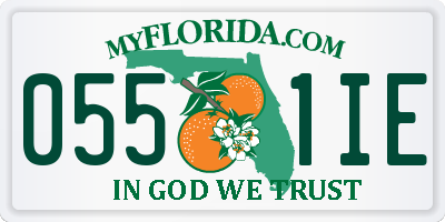 FL license plate 0551IE