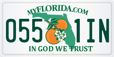 FL license plate 0551IN