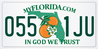 FL license plate 0551JU