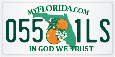 FL license plate 0551LS
