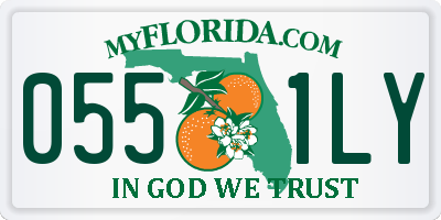 FL license plate 0551LY