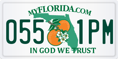 FL license plate 0551PM