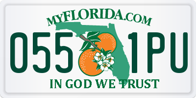 FL license plate 0551PU
