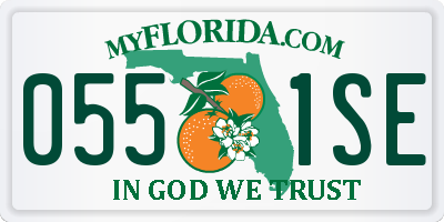 FL license plate 0551SE