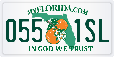 FL license plate 0551SL