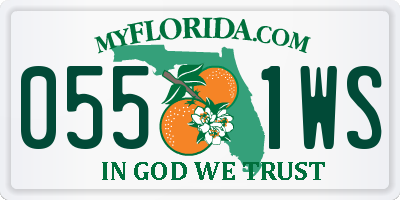 FL license plate 0551WS