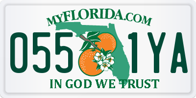 FL license plate 0551YA
