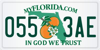 FL license plate 0553AE