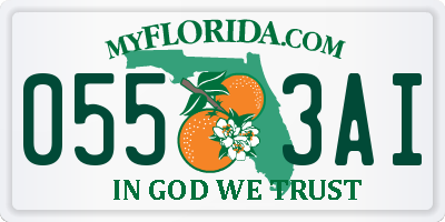 FL license plate 0553AI