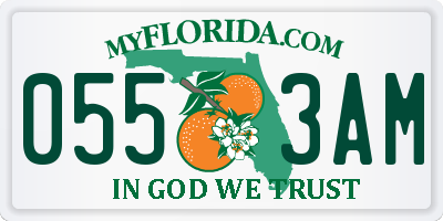 FL license plate 0553AM