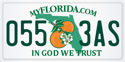 FL license plate 0553AS