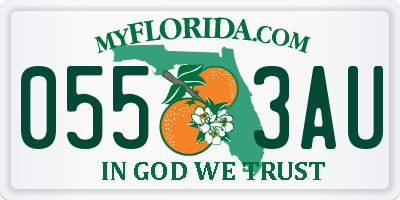 FL license plate 0553AU