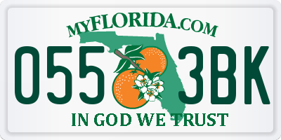 FL license plate 0553BK