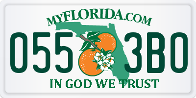 FL license plate 0553BO
