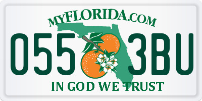 FL license plate 0553BU