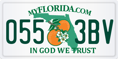 FL license plate 0553BV