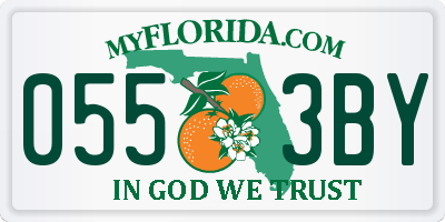 FL license plate 0553BY