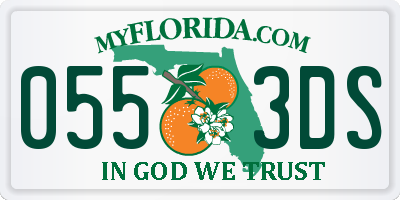 FL license plate 0553DS