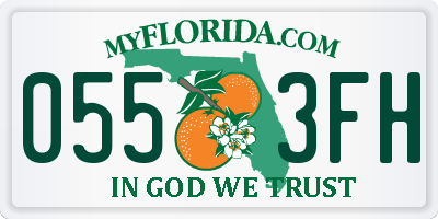FL license plate 0553FH