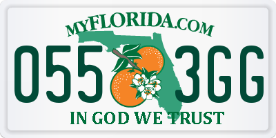 FL license plate 0553GG
