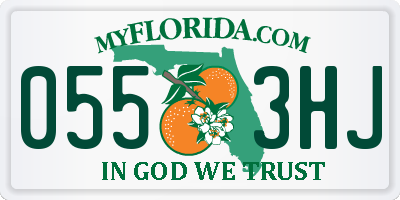 FL license plate 0553HJ