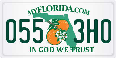 FL license plate 0553HO