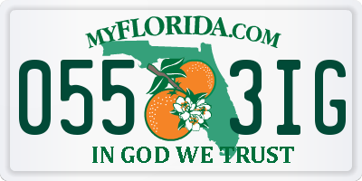 FL license plate 0553IG