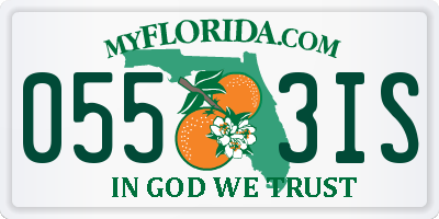 FL license plate 0553IS