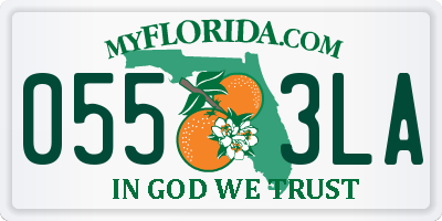 FL license plate 0553LA