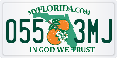 FL license plate 0553MJ