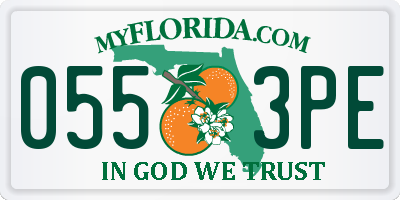 FL license plate 0553PE