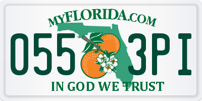 FL license plate 0553PI