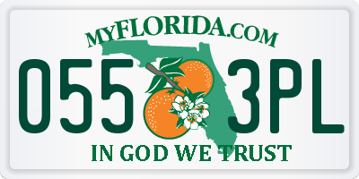 FL license plate 0553PL