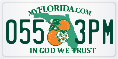 FL license plate 0553PM