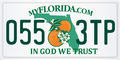 FL license plate 0553TP