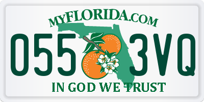FL license plate 0553VQ