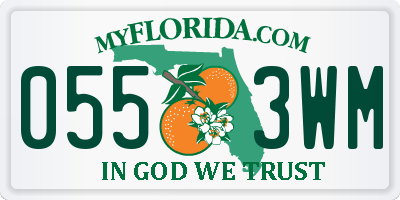 FL license plate 0553WM