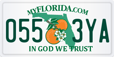 FL license plate 0553YA