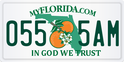 FL license plate 0555AM